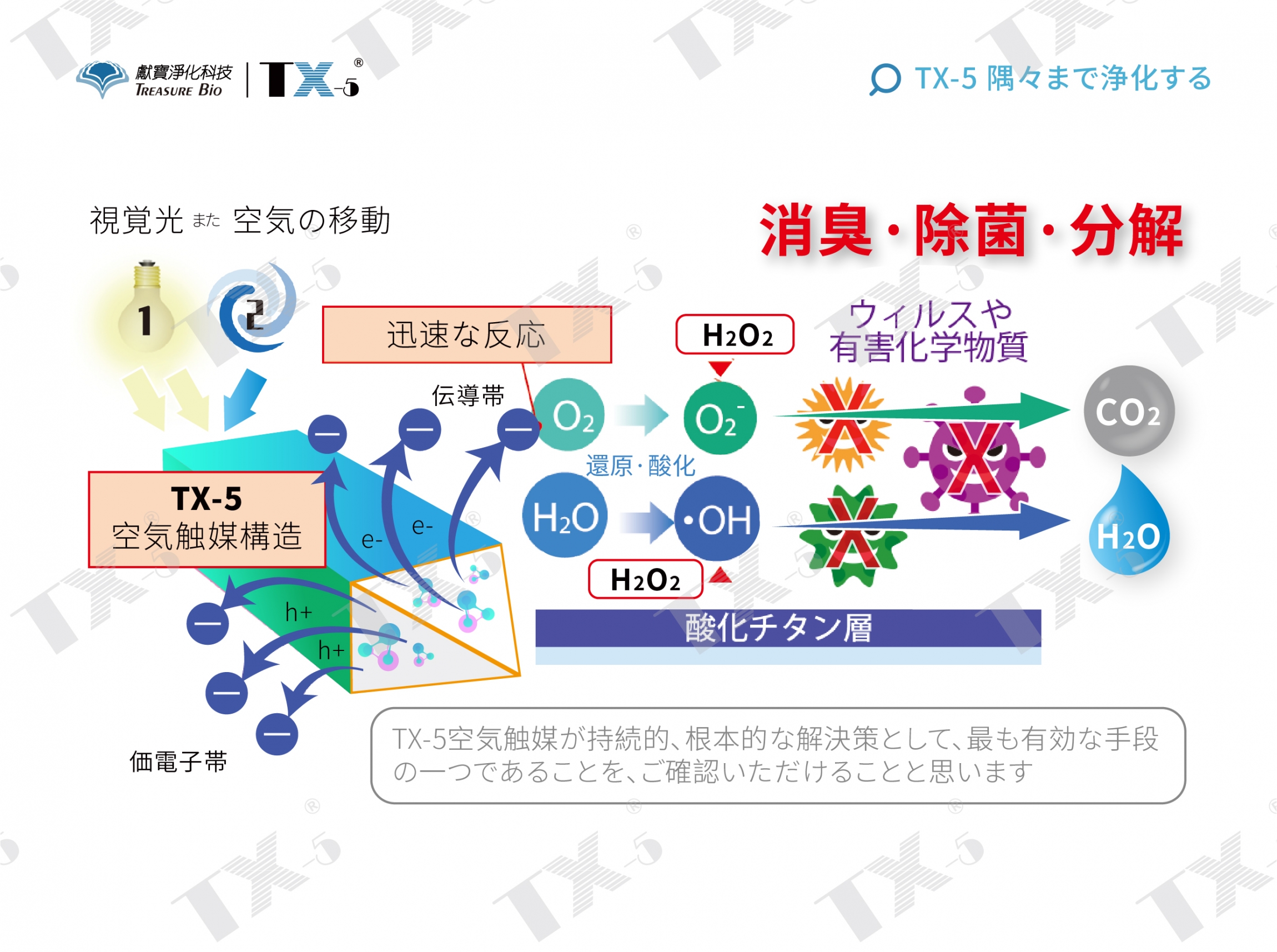 本頁圖片/檔案 - image0